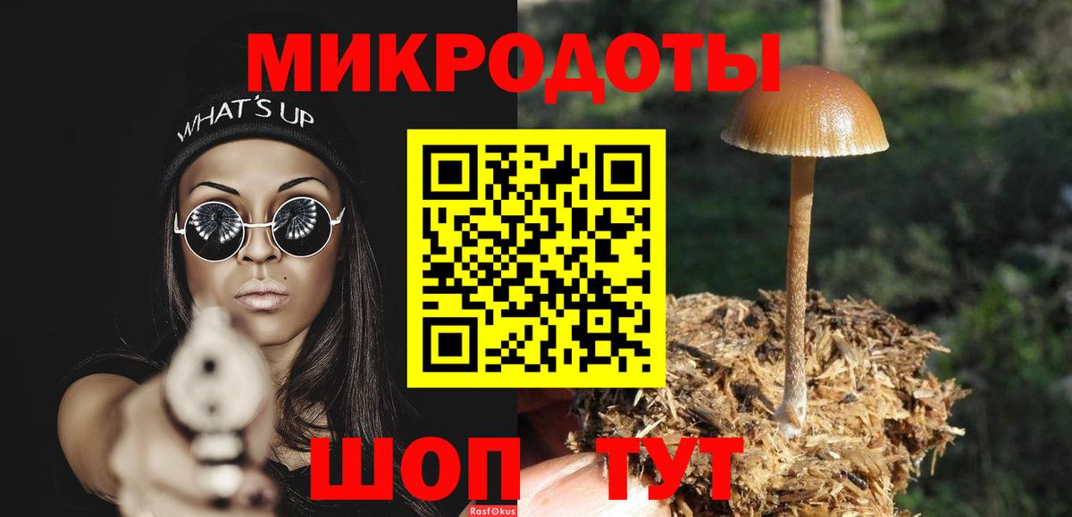 APVP Миасс